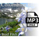 Columbine Blue Song
